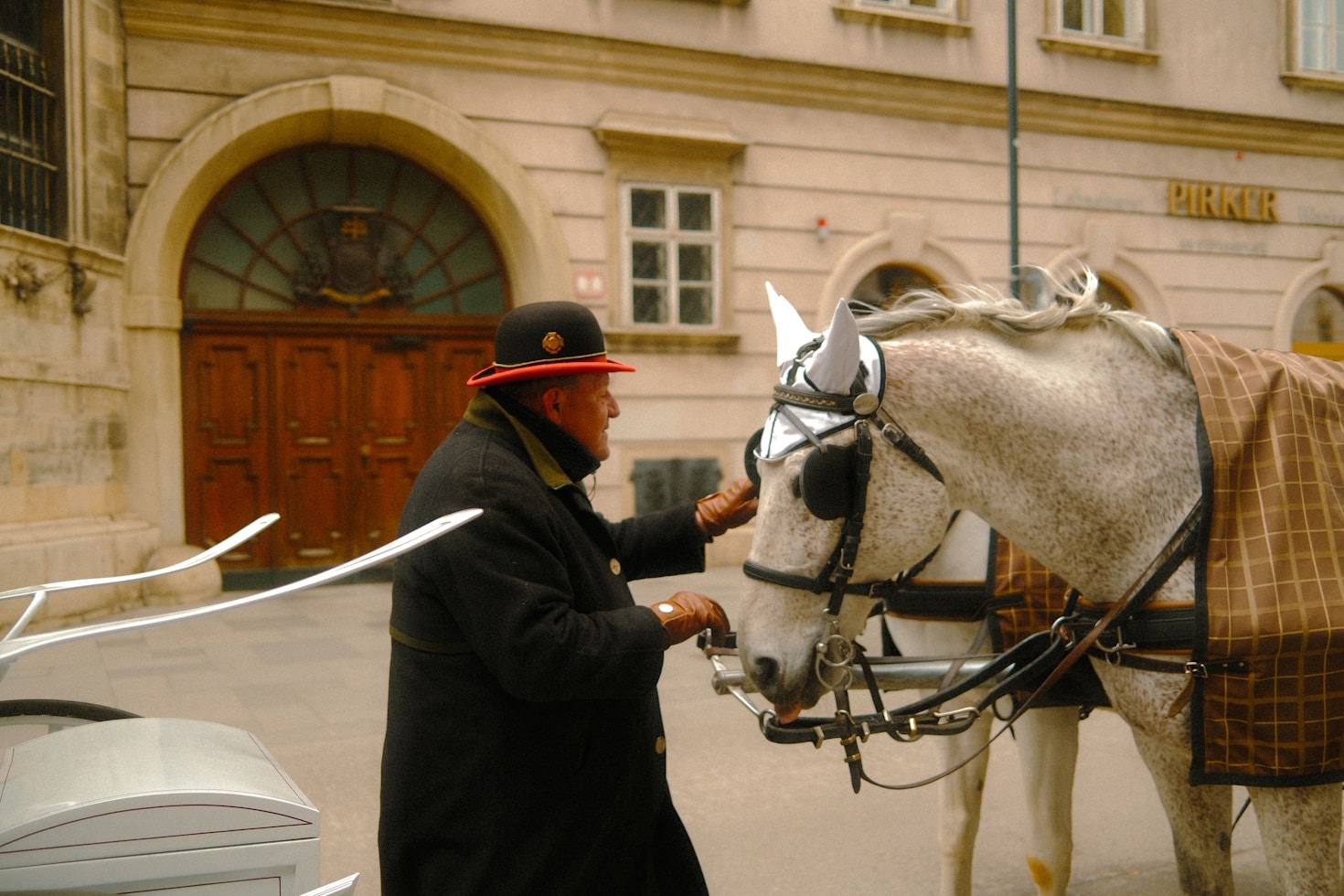 Why Experience Matters in Equine Transfers