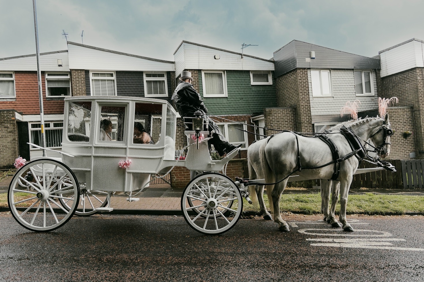 The Role of Trusted Services in Equine Welfare